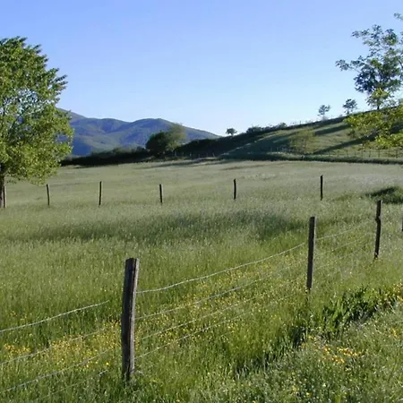 Charming House In Umbria With Pool