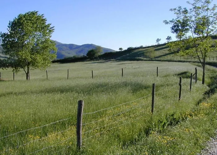 Charming House In Umbria With Pool