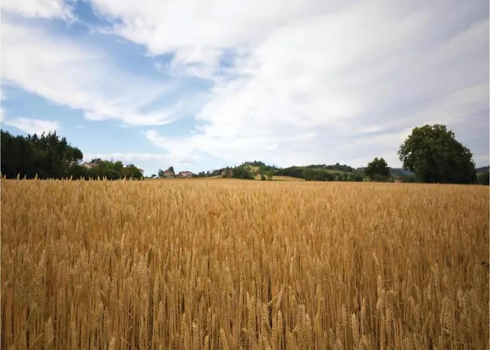 Holiday home Charming House In Umbria With Pool Monte Castelli